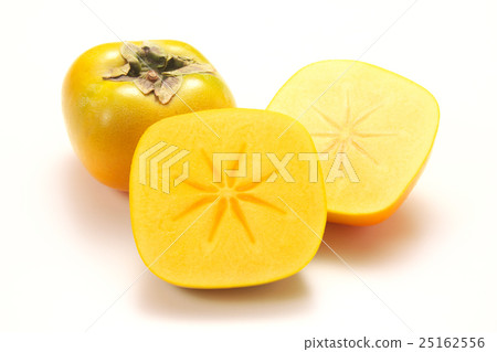 口根柿子（沒有種子）和歌山縣 25162556