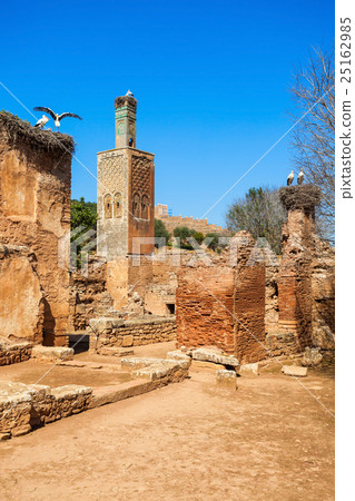 Chellah in Rabat 25162985