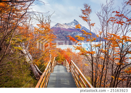 The Perito Moreno Glacier The Perito Moreno Glacier 25163923