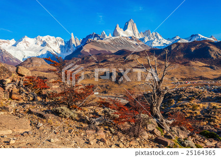 Fitz Roy mountain, Patagonia Fitz Roy mountain, Patagonia 25164365