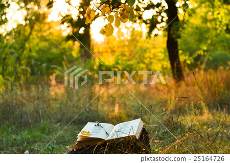 Vintage book of poetry outdoors under a tree Vintage book of poetry outdoors under a tree 25164726