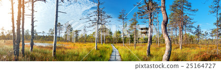 Viru bogs at Lahemaa national park Viru bogs at Lahemaa national park 25164727