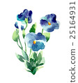 Watercolor illustration of a violets on a white 25164931