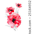 Watercolor illustration of a poppy on a white 25164932