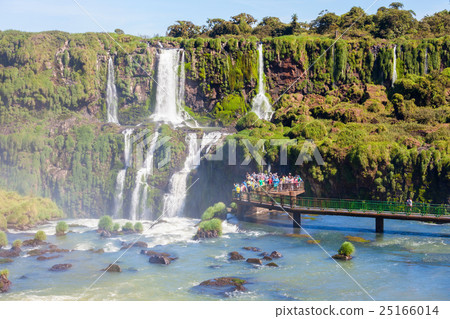 The Iguazu Falls 25166014