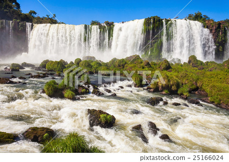 The Iguazu Falls 25166024