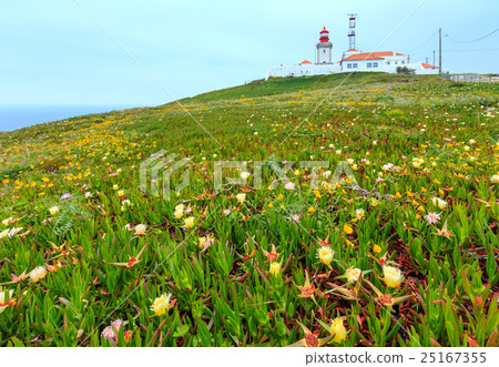 Lighthouse on Cape Roca, Portugal. 25167355