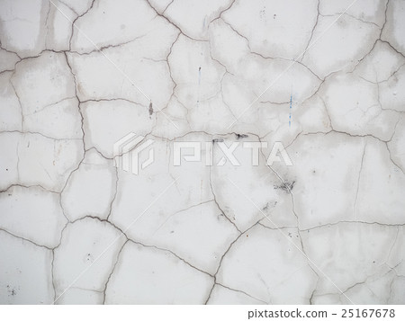 wall 25167678