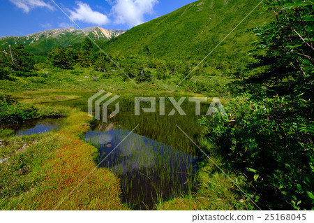 Yume no Hiira 25168045