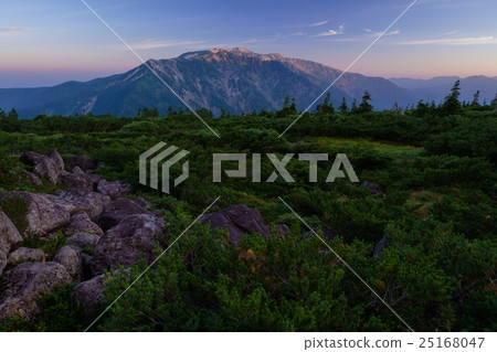 在瑞士花園裡面 25168047