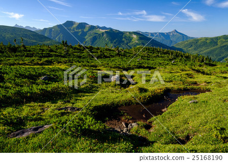 Alps garden 25168190