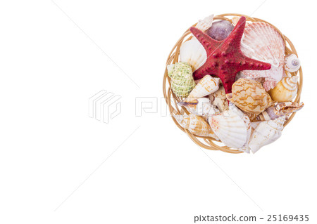 Set of seashells on wicker plate 25169435