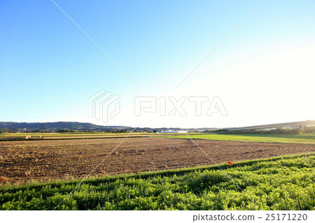 countryside countryside 25171220