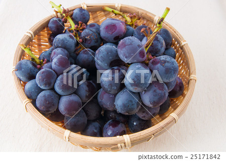 巨大的高峰 25171842