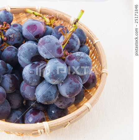 巨大的高峰 25171846