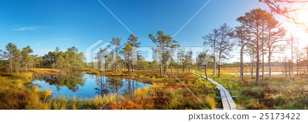 Viru bogs at Lahemaa national park 25173422