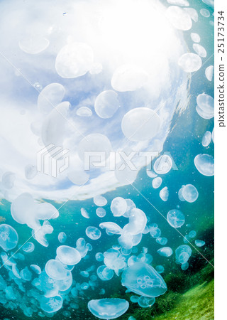 Sea of Notojima Sea of Notojima 25173734