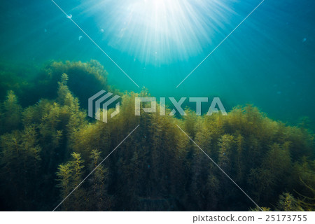 Sea of Notojima Sea of Notojima 25173755