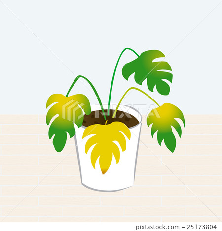 沉悶的觀葉植物的插圖 25173804