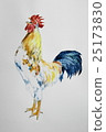 Chicken 25173830