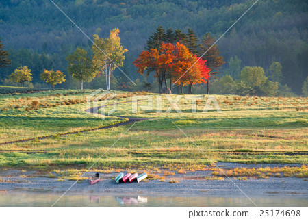 Jinshan lake in autumn Hokkaido Minamifurano 25174698