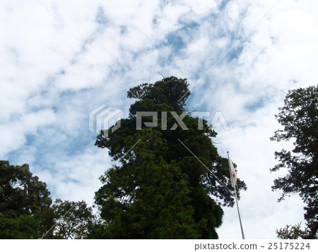 磯上神社 磯上神社 25175224