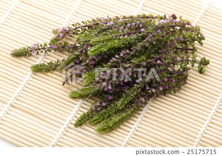 紅紫甦的耳朵 25175715