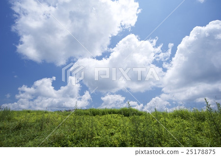Shikoku Karst - Tiankogen Field 25178875