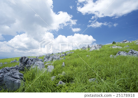 Shikoku Karst - Tiankogen Field 25178918