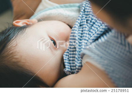 baby, infant, breast-feed 25178951
