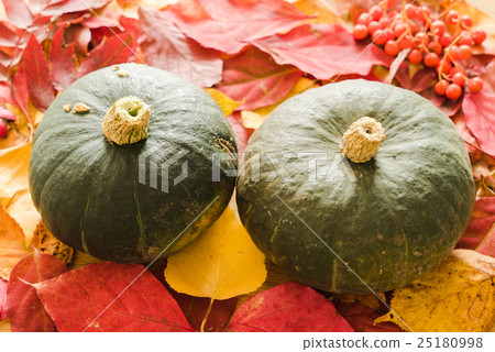 Pumpkin and autumn leaves, autumn image 25180998