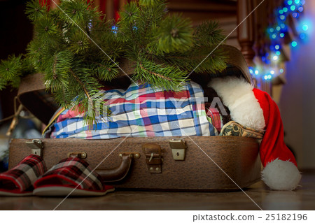 Child's Christmas sleep inside suitcase. 25182196
