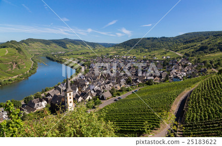 View of Bremm at the Mosel with Moselschleife 25183622