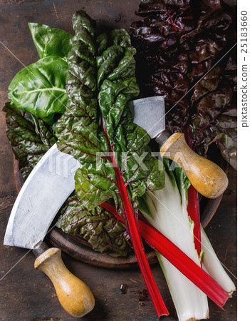 Chard mangold salad leaves 25183660