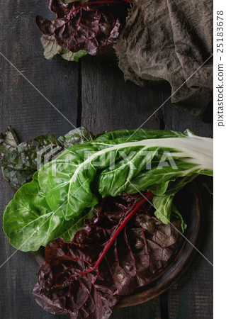 Chard mangold salad leaves 25183678