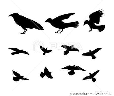 Silhouette flying raven bird, vector 25184429