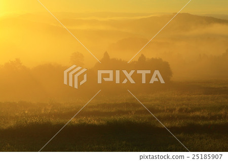 Iwate Prefecture Oshu City Autumn rice terrace Iwate Prefecture Oshu City Autumn rice terrace 25185907