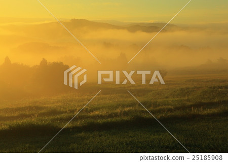 Iwate Prefecture Oshu City Autumn rice terrace Iwate Prefecture Oshu City Autumn rice terrace 25185908