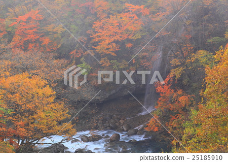 The autumnal leaves of the Matsukawa Stream The bridge of the forest 25185910