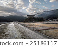 Winter morning 25186117