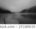 Fog morning 25186616