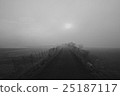 Misty morning sun 25187117