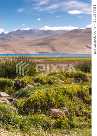 Tso Moriri Lake with Great Himalayan Range Tso Moriri Lake with Great Himalayan Range 25187581