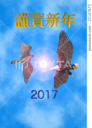新年卡（白尾鷹和hayabusa） 25187673