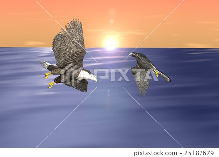 新年卡(白尾鷹和hayabusa) 新年卡(白尾鷹和hayabusa) 25187679