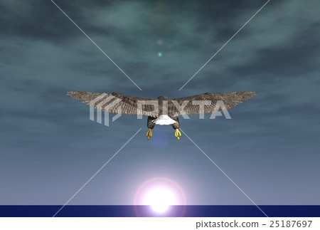 New year's card (White-tailed eagle) New year's card (White-tailed eagle) 25187697