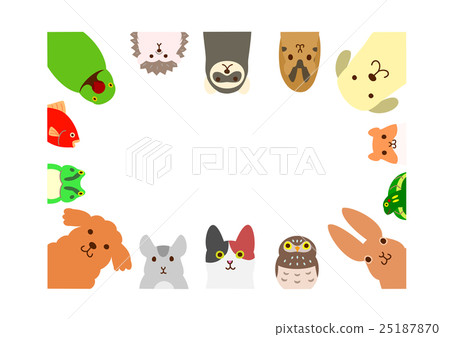 Pet frame rectangle 25187870