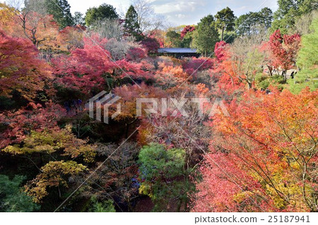 Tofuku-ji Temple Tonenbashi 25187941