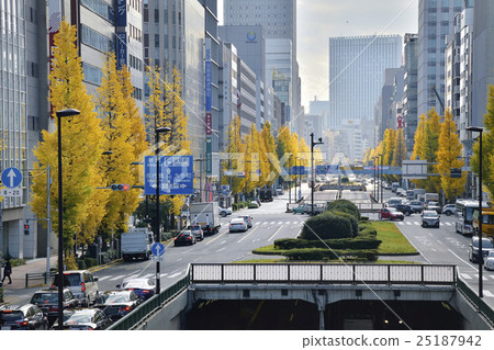 Showa Dori Gingko Namiki Aiba Aki Edobashi 25187942