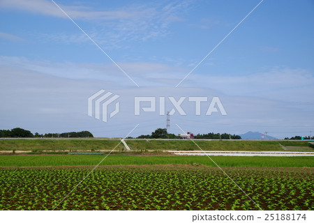 Borderline Boundaries Furukawa to Tsukuba Central Construction Under Construction near Tsukuba Mountain End September 2016 Borderline Boundaries Furukawa to Tsukuba Central Construction Under Construction near Tsukuba Mountain End September 2016 25188174